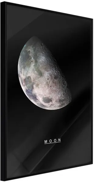 ARTGEIST Poster mit Rahmen - The Solar System: Moon Mit goldenem Passepartout 20x30